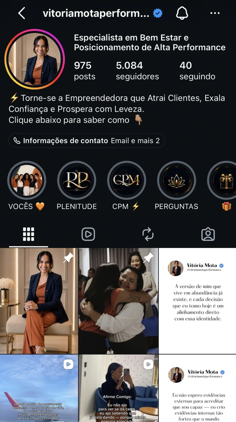 Exemplo de perfil profissional no Instagram